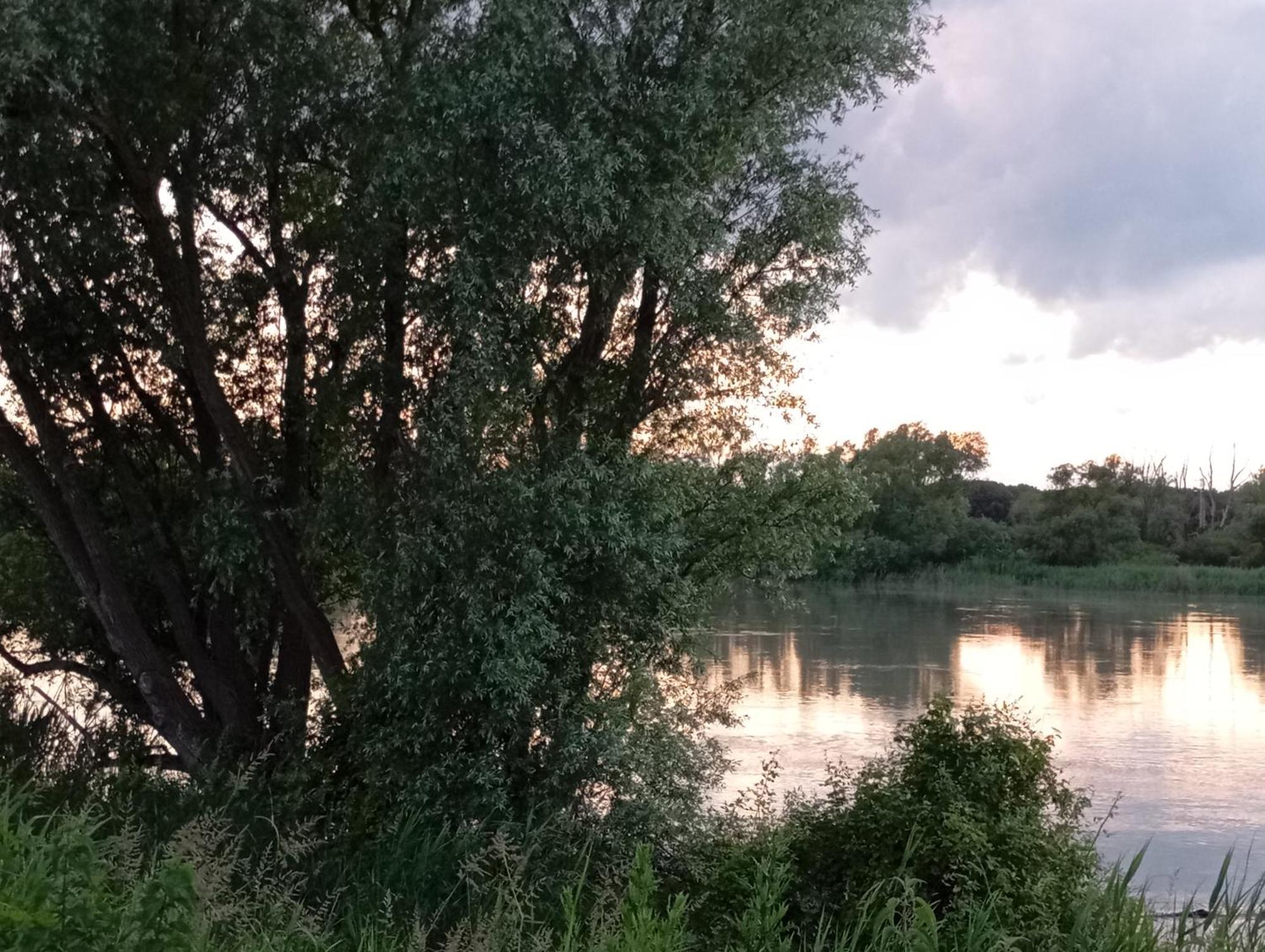 Casa Vacanze Nel Delta Del Po Taglio di Po Exterior foto
